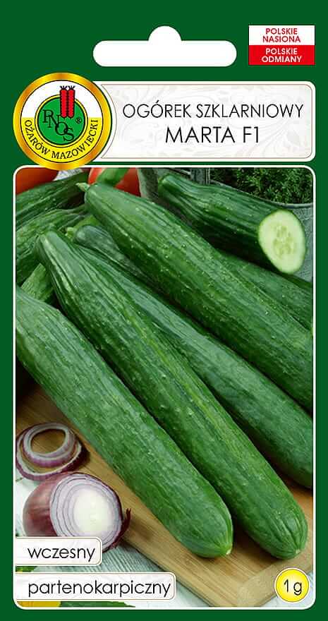 Nasiona-PNOS-nasiona-ogorka (2)