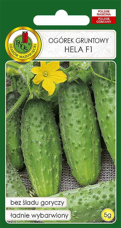 Nasiona-PNOS---Ogorek-gruntowy-Hela-F1-5g
