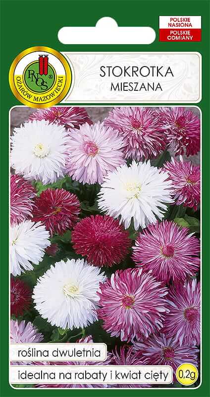 Nasiona-PNOS---nasiona-kwiatow---Stokrotka-Superenorma-mieszana