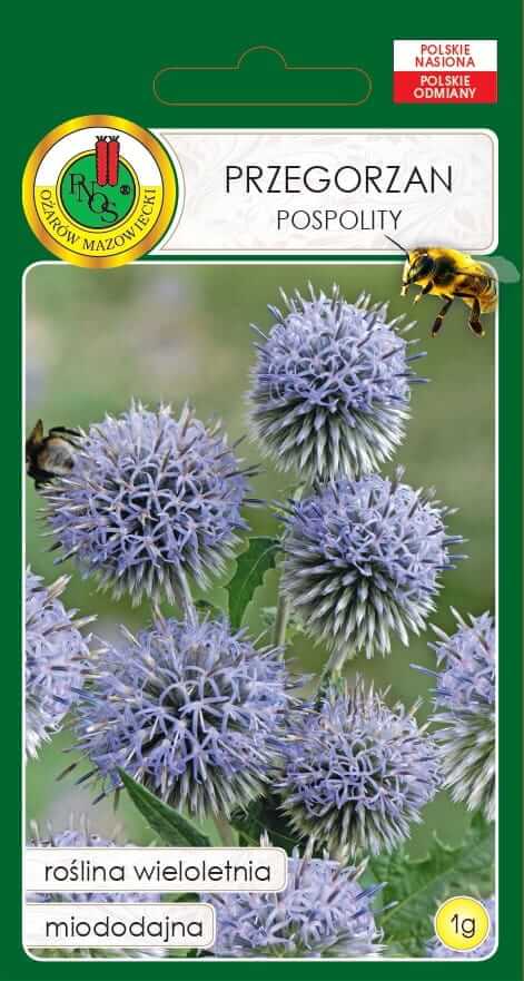 Nasiona-kwiatow-wieloletnich-PNOS---Przegorzan-pospolity-1g