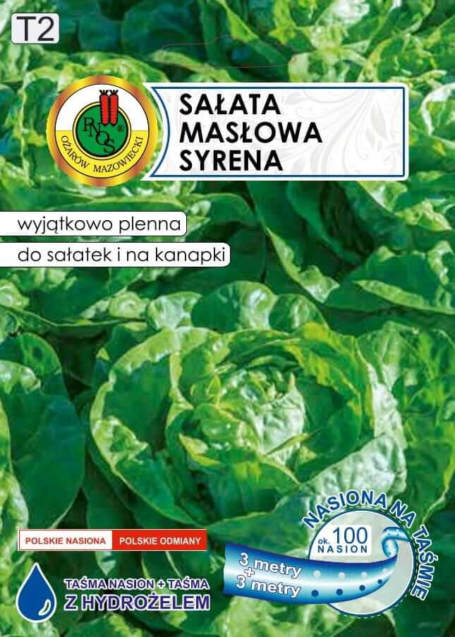 Salata-glowiasta-maslowa-SYRENA-6m-nasiona-PNOS (1)